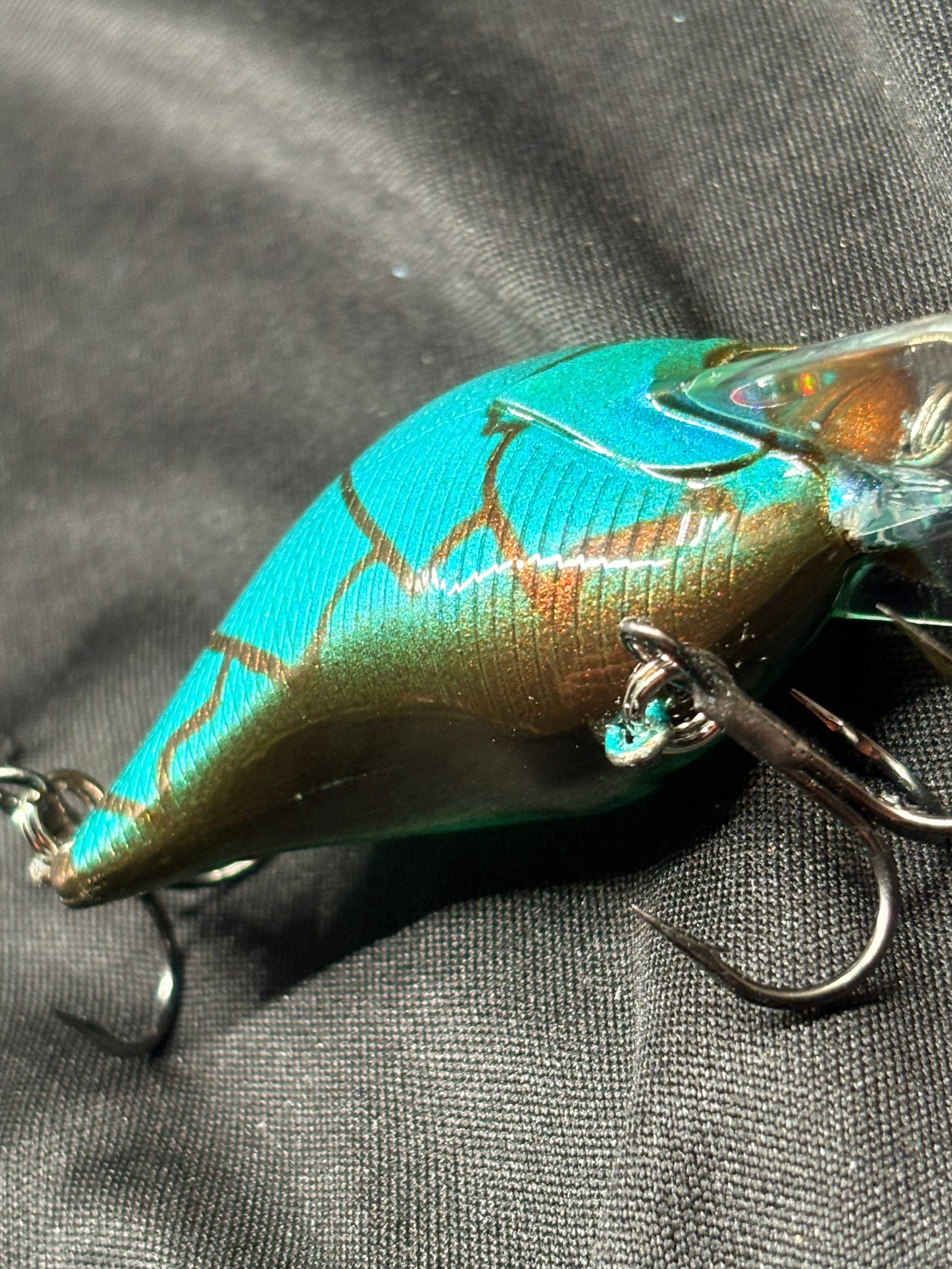 Coppernose Blue Craw Shallow Diver