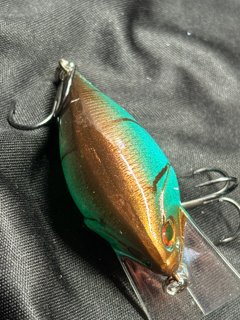 Coppernose Blue Craw Shallow Diver