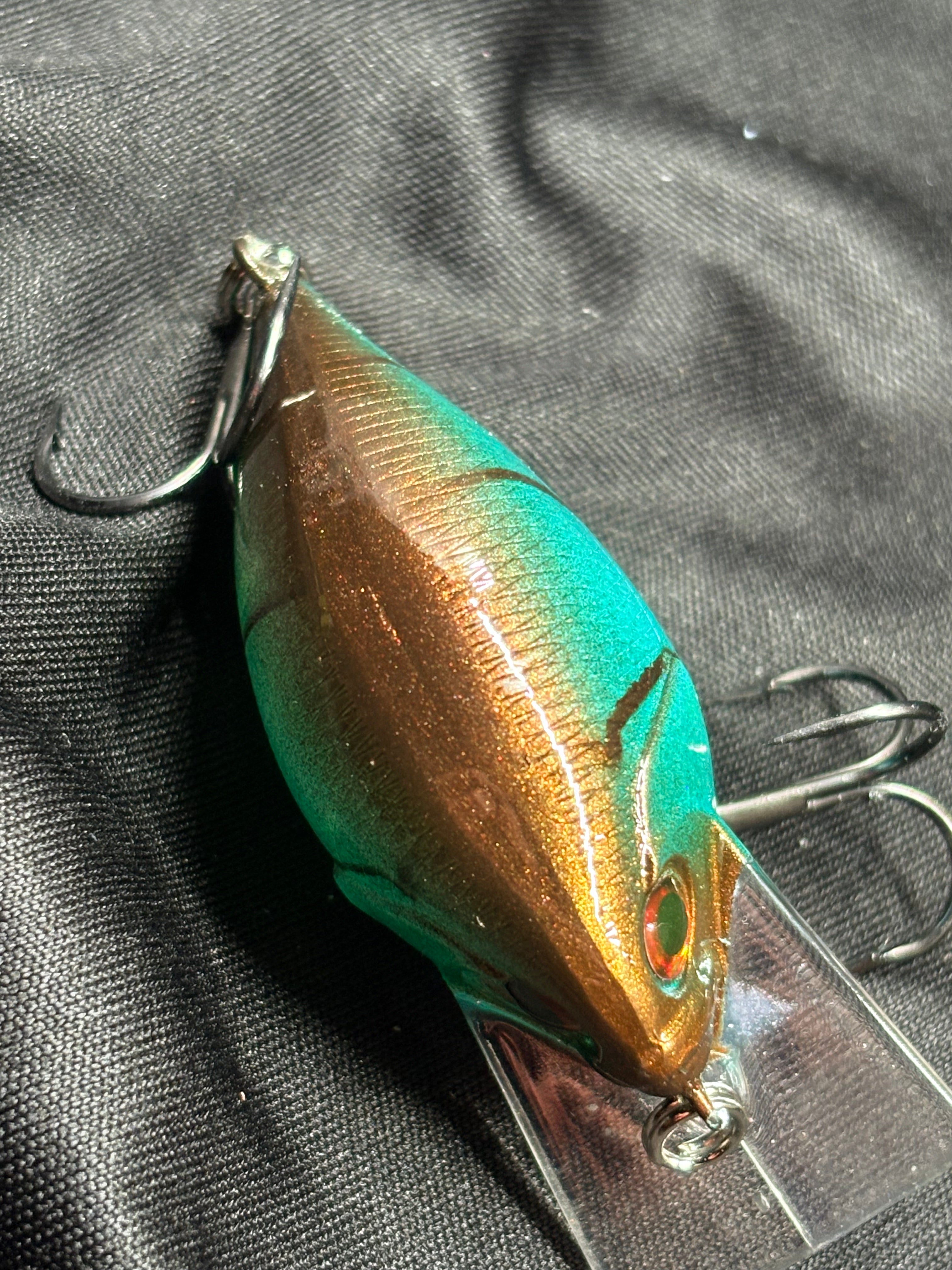 Coppernose Blue Craw Shallow Diver