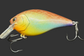 Bluegill 2.5 Squarebill