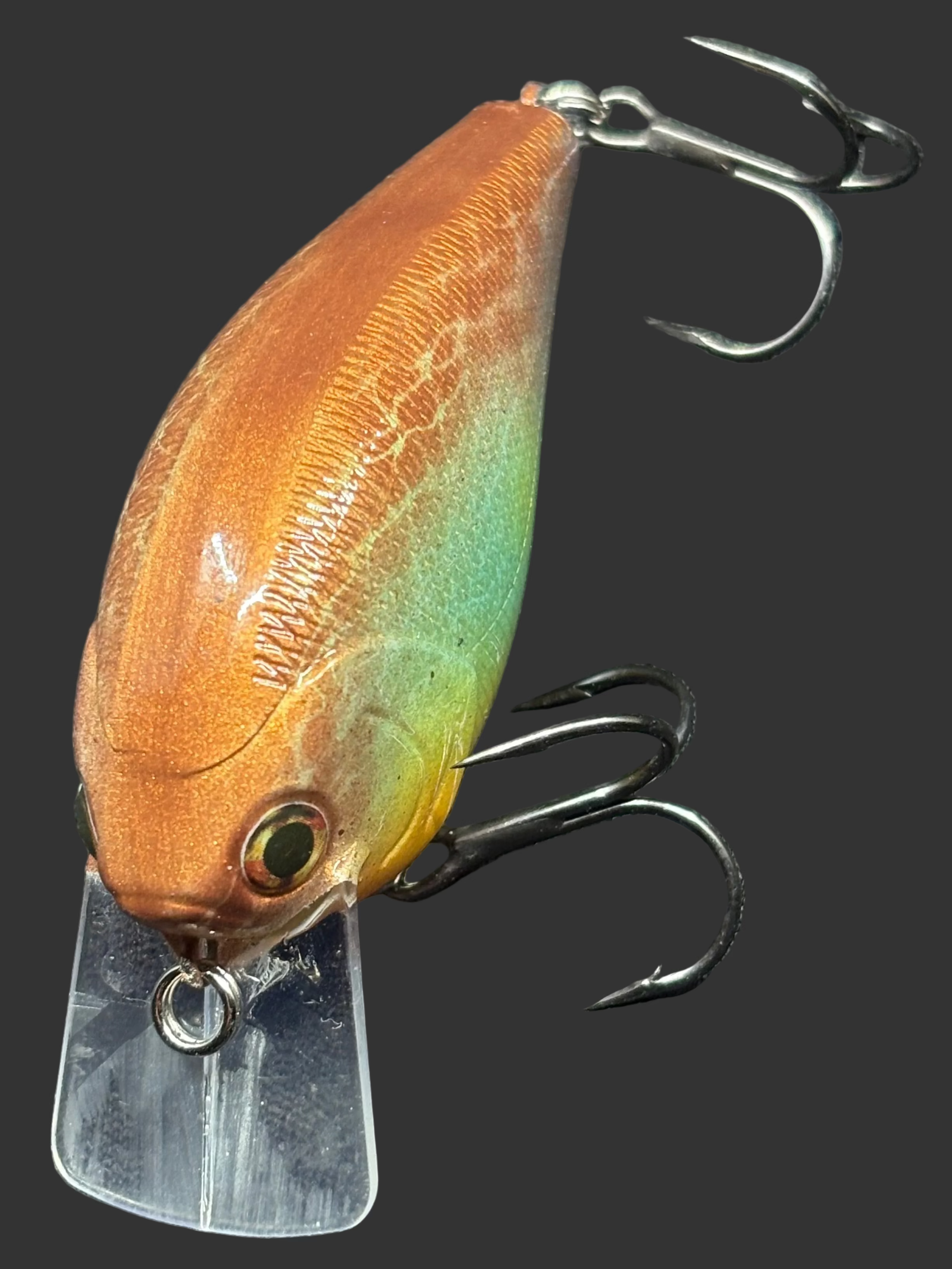 Bluegill 2.5 Squarebill