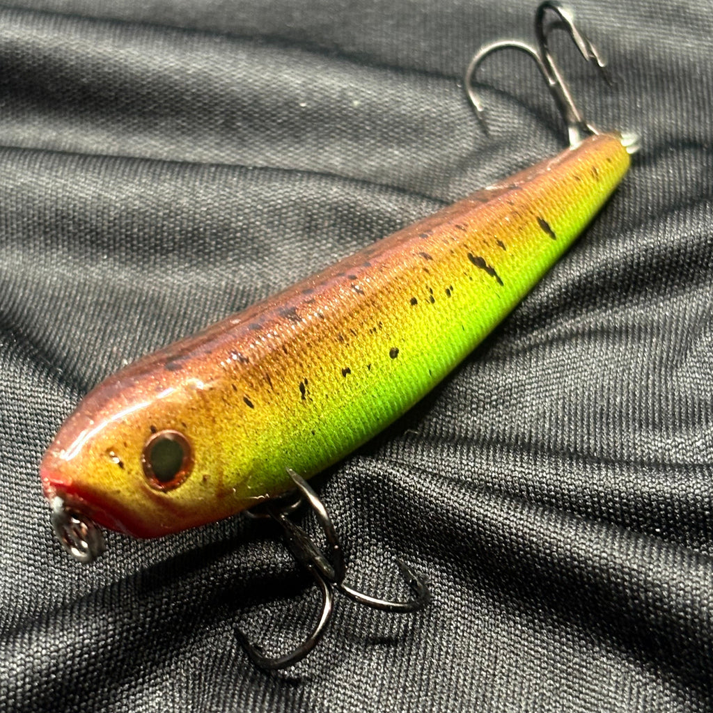 Swamp Shiner Walking bait