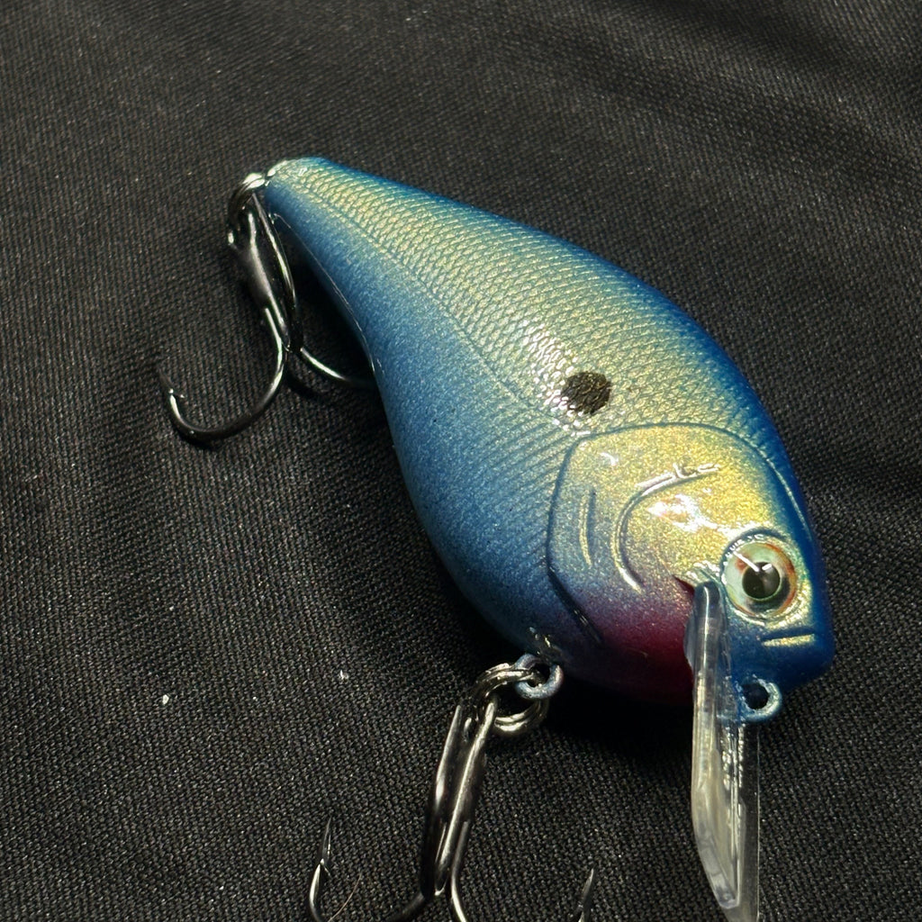 Blue Shad 2.5 Square bill
