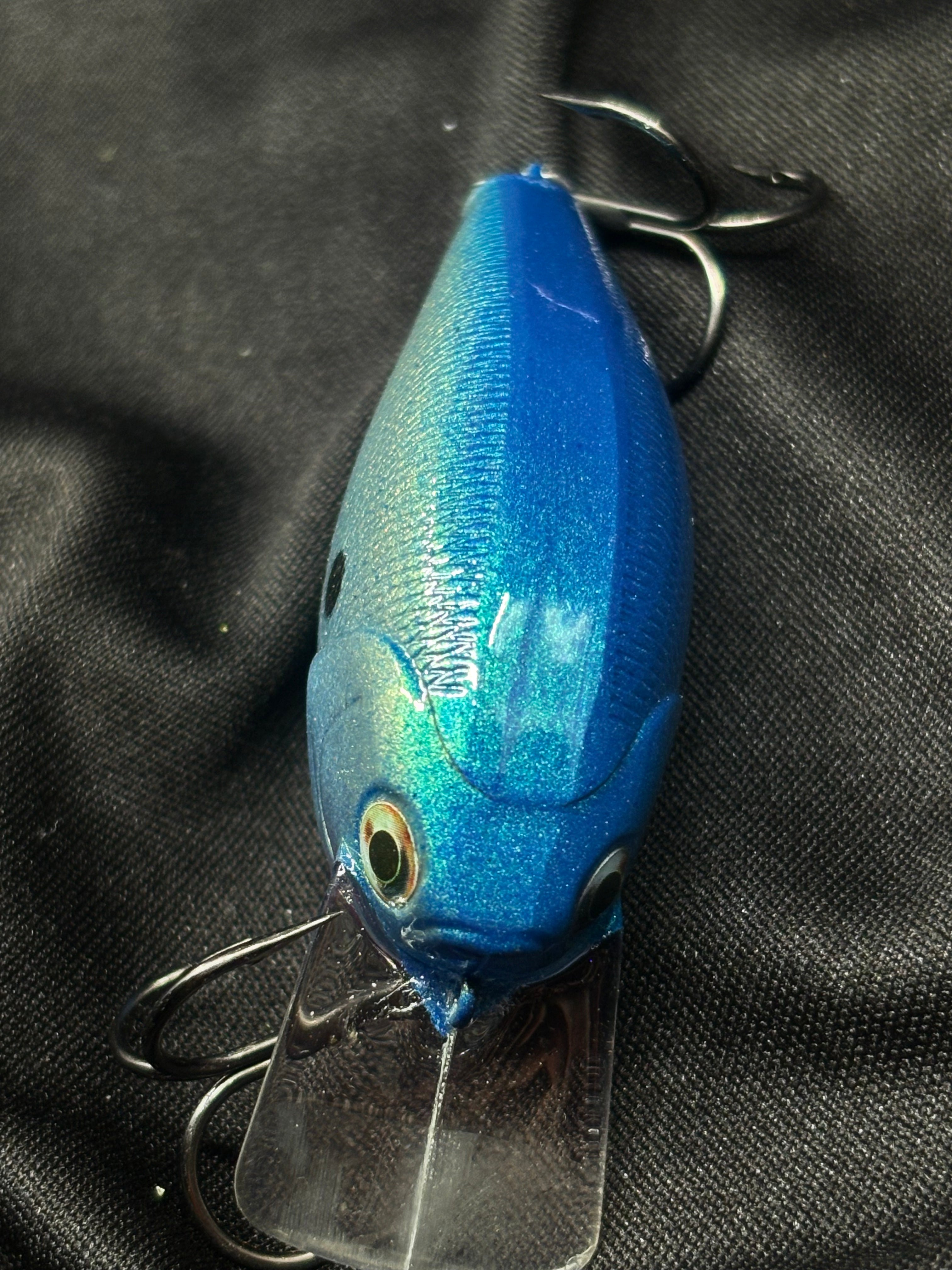 Blue Shad 2.5 Square bill