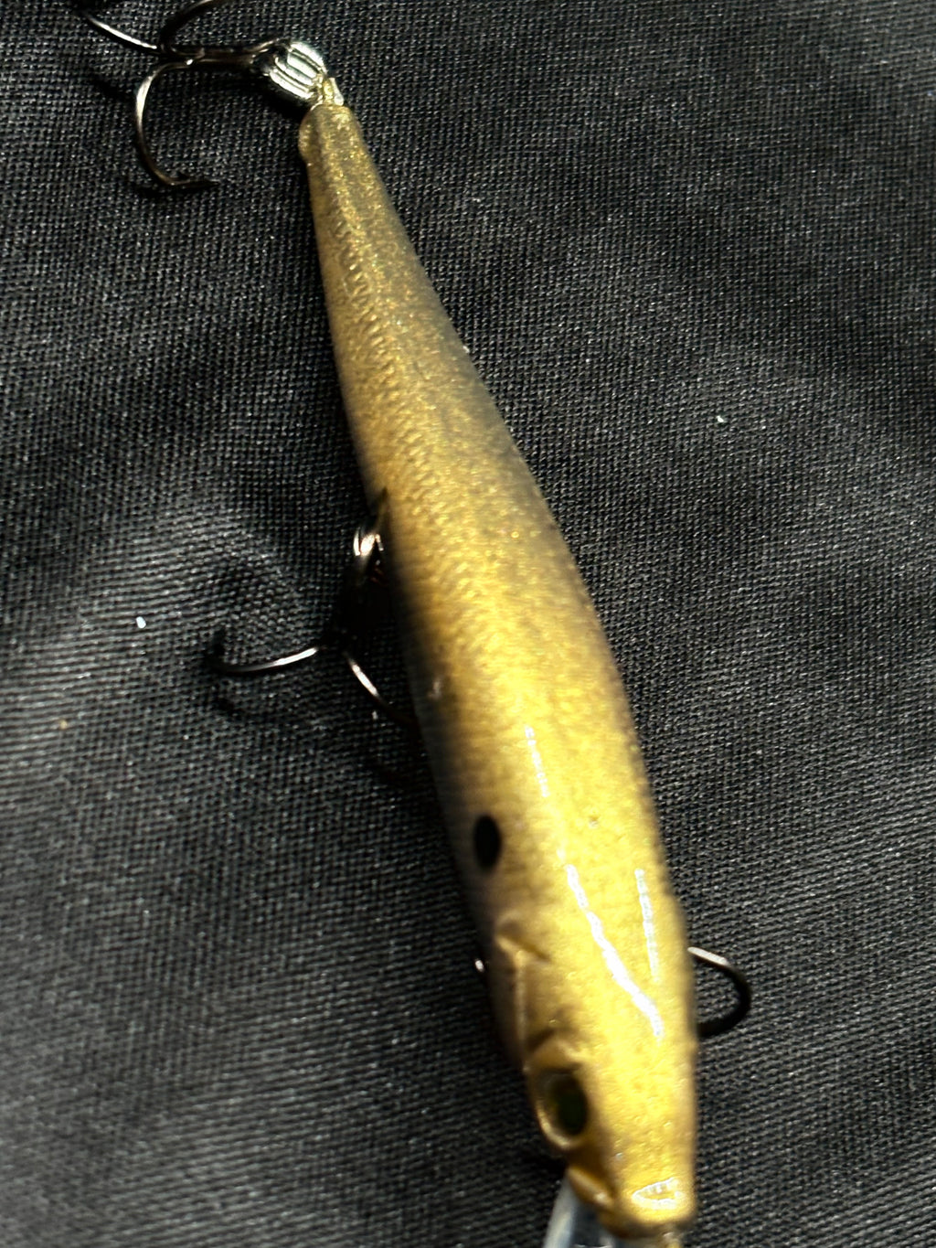 Golden Shad Suspending Jerkbait